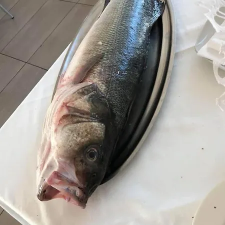 アパート Garden-marina Sveva サン・サルヴォ