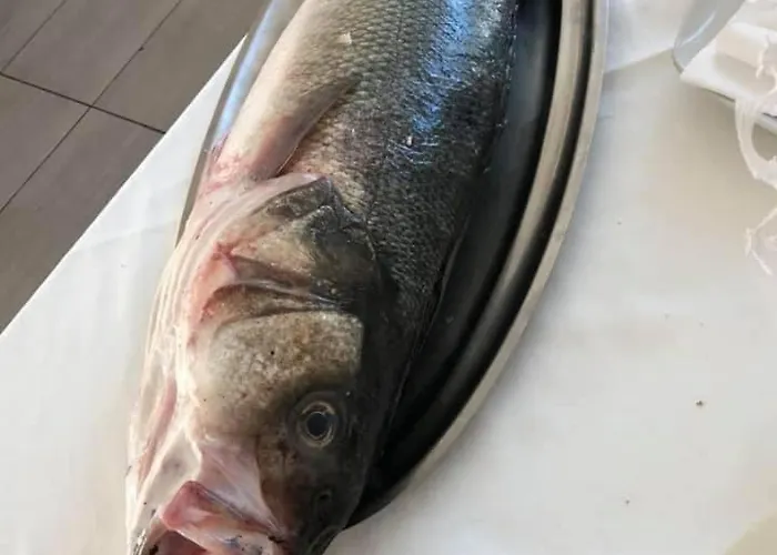 Apartamento Garden-marina Sveva San Salvo